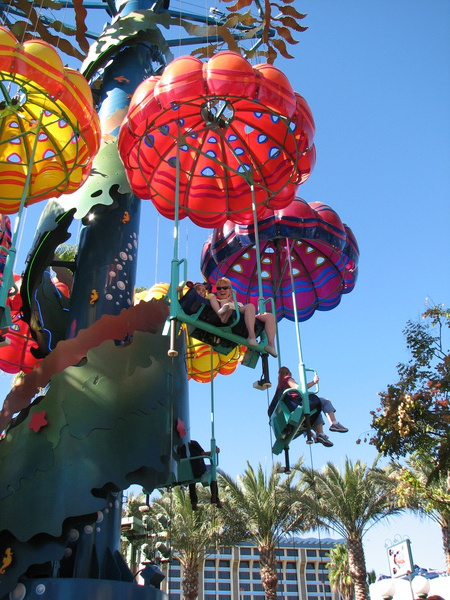Jumping Jellyfish