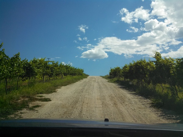 Drive to Four Lakes Winery