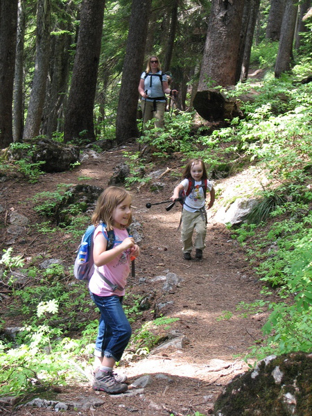 Hiking Back