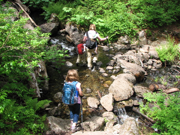 Hiking Back