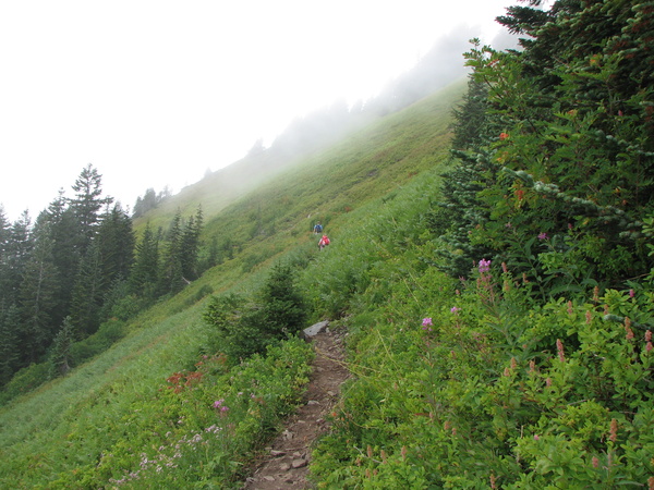 Foggy Meadow Traverse