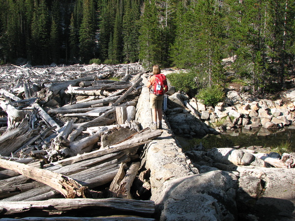 Snow Lakes Dam