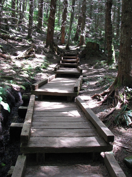 Trail Boardwalk