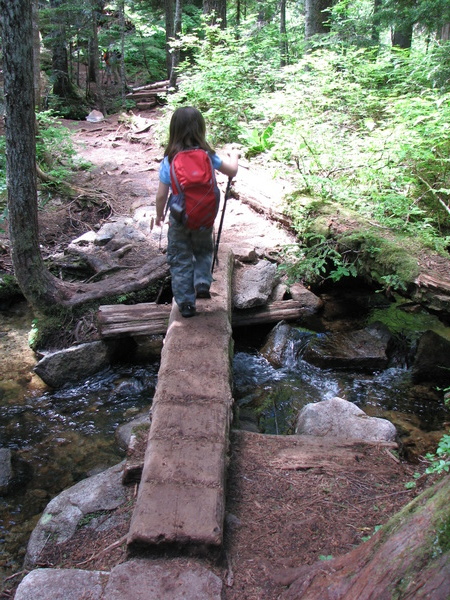 Hiking Lily