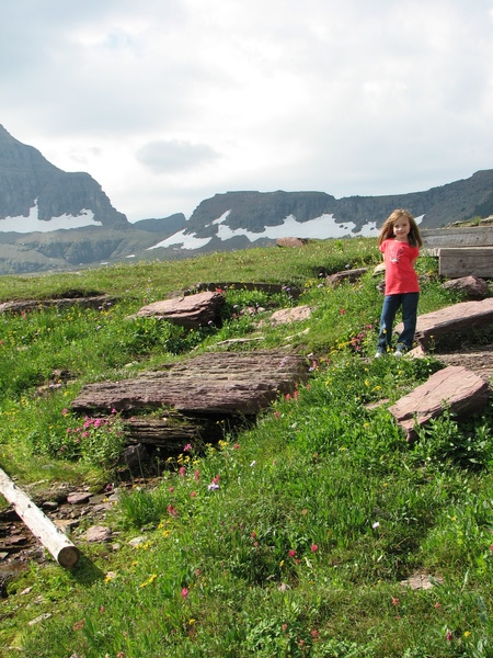 Logan Pass Flowers