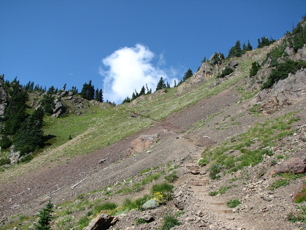 Trail to Ellinor