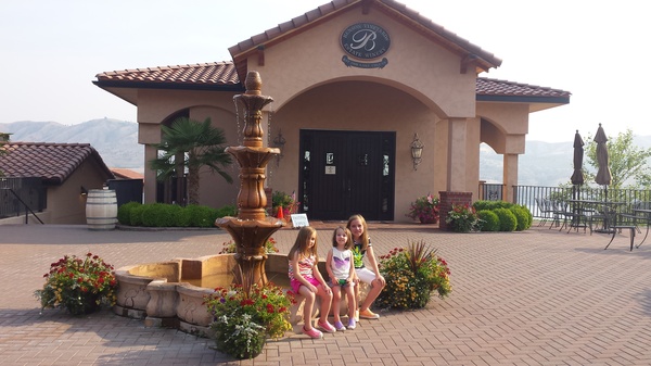 Benson Vineyards