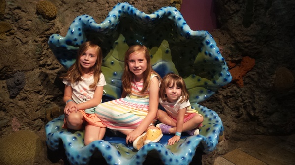 Little Mermaids