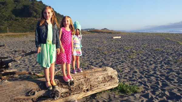 Redwood Creek Beach
