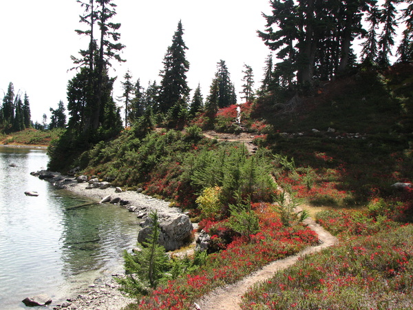 Peggy's Pond Path
