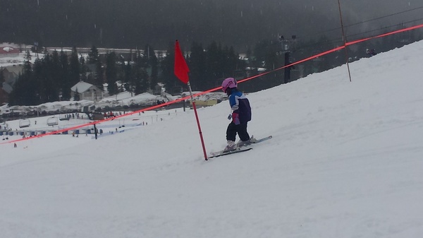Lily Racing