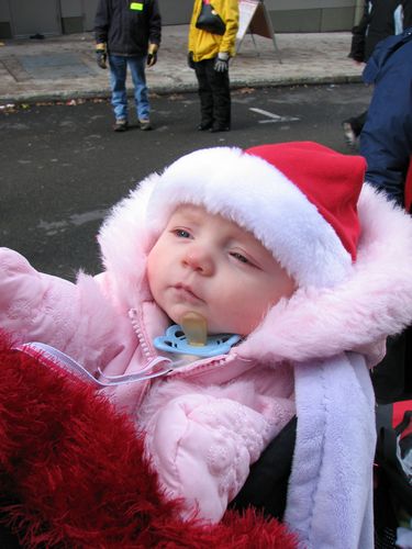 Jingle Lily