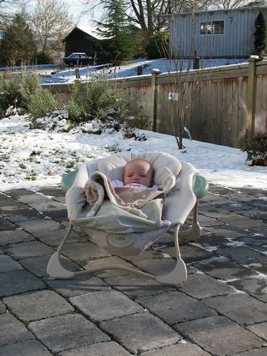 Chilly Lily