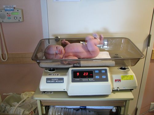 Big Weigh-In