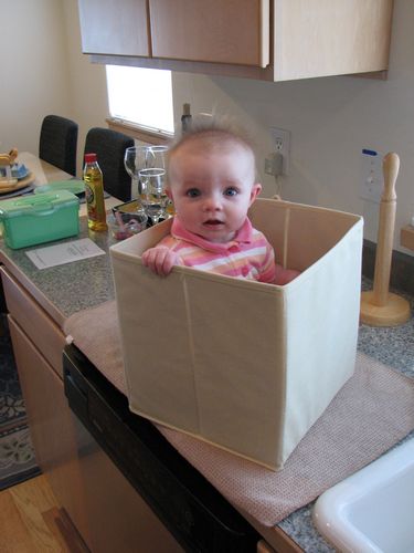 Lily in a Box