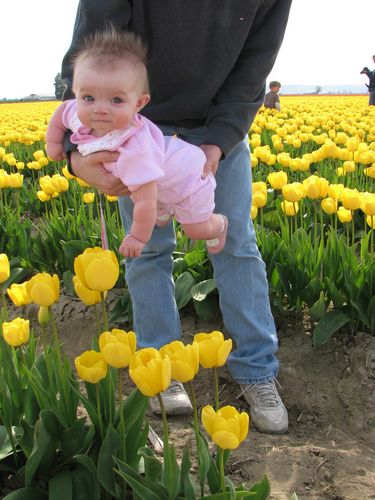 Tulip Girl