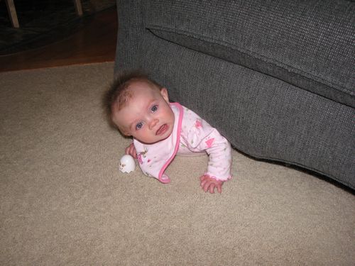 What happens when you only crawl in reverse