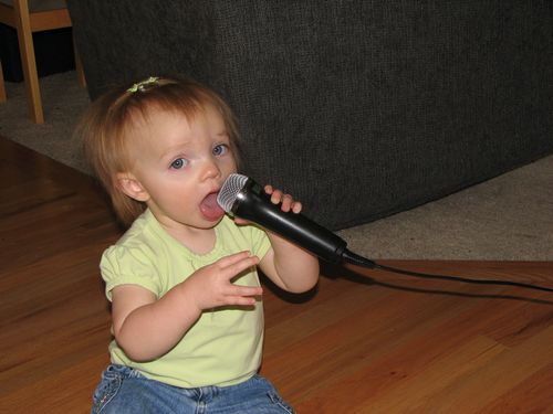 Rock Singer