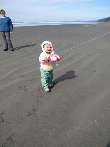 Kite Flyer