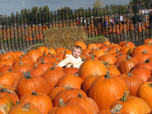 Little Pumpkin