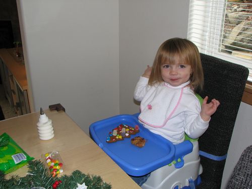 Christmas Cookie Decorator