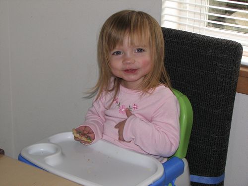 Christmas Cookie Eater