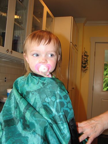 First Haircut