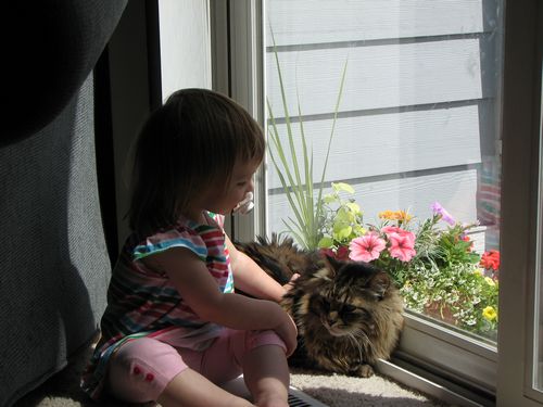Petting Captain