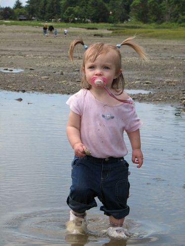 Soaked at Belfair State Park