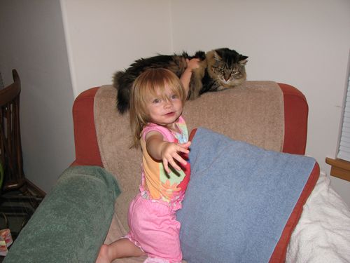 Petting Captain