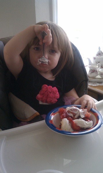 Strawberries and Angel Food Cake