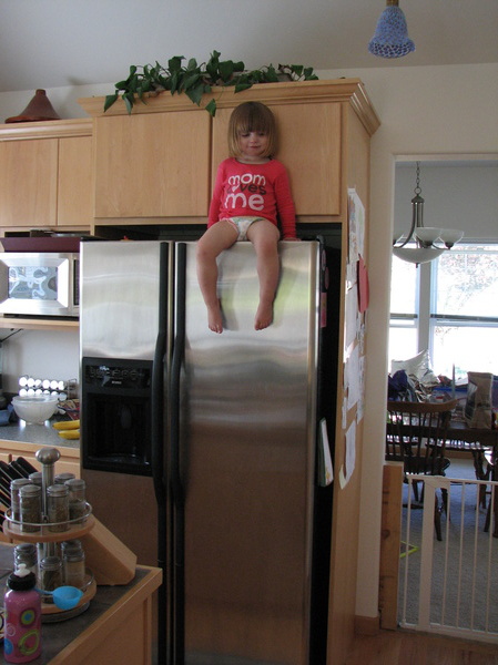 Fridge Sitter