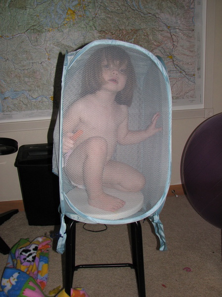 Lily Cage