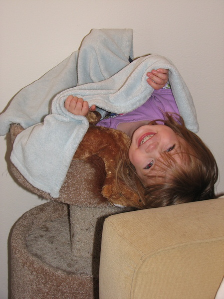 Lily's Nest