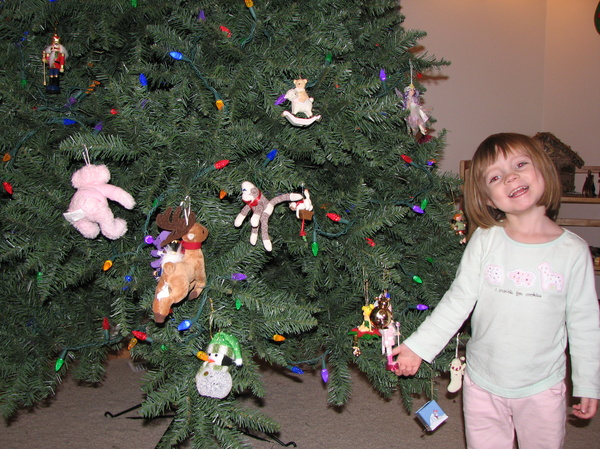 Lily's Branch