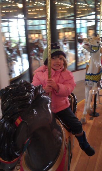 Merry Go Round at the Zoo