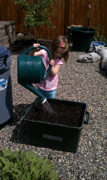 Watering the Pumpkins