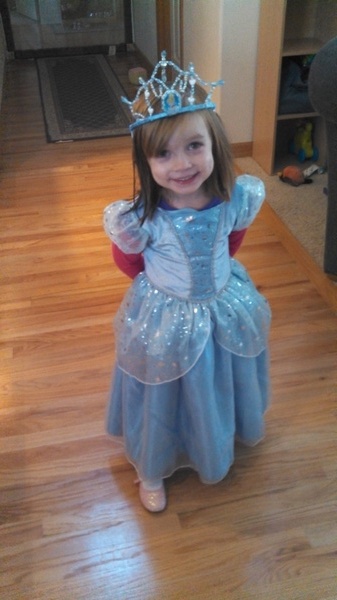 Princess Dress