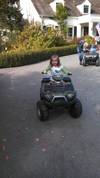 Fox Hollow Farm