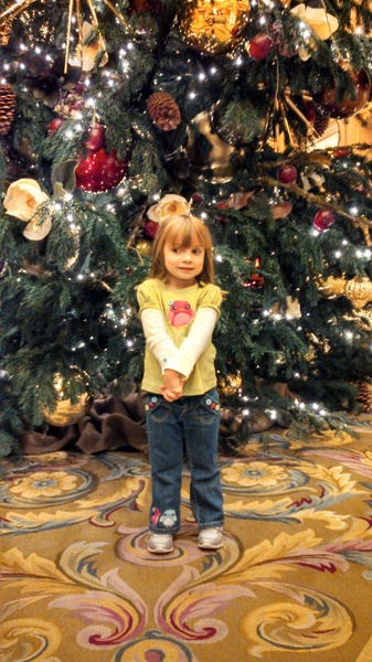 Four Seasons Christmas Tree
