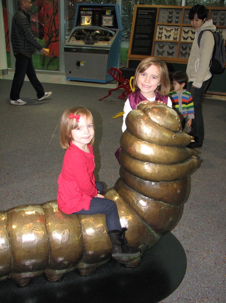 Buggy Girls