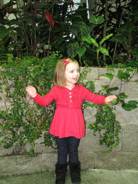 Butterfly Exhibit