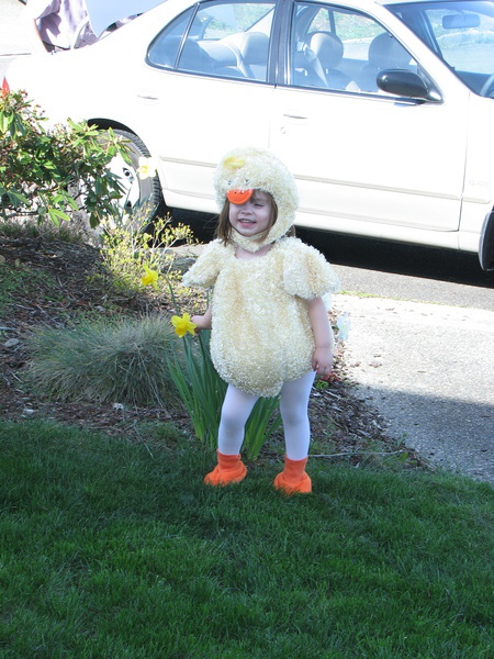 Easter Chick