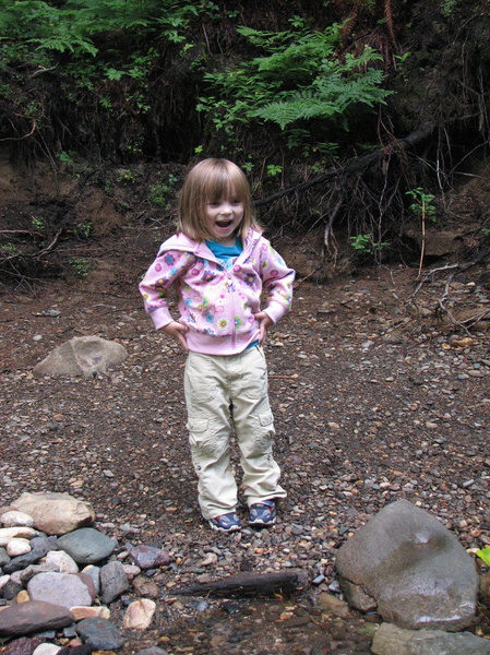 Throwing Rocks into Lewis River