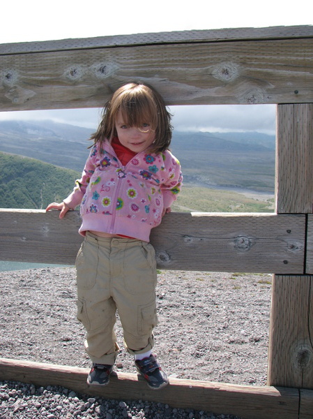 Windy Ridge Viewpoint