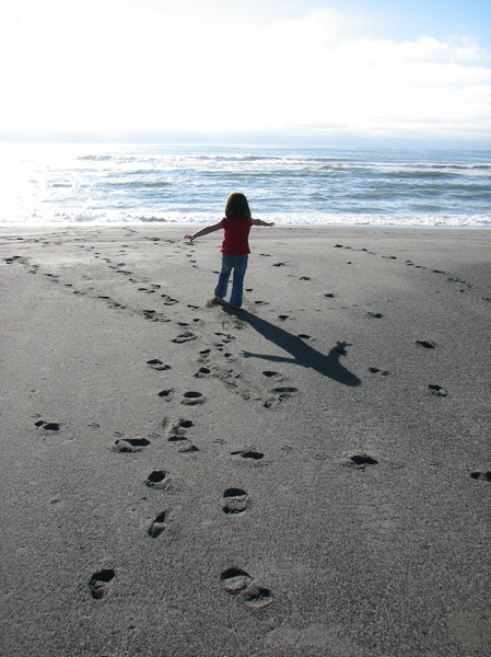 Gold Bluffs Beach