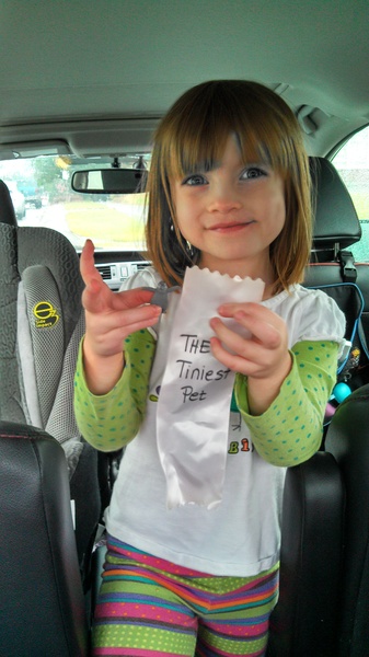 Preschool Award