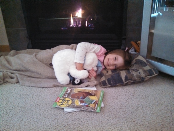 Fireside Nap