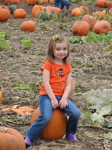 Pumpkin Sitter