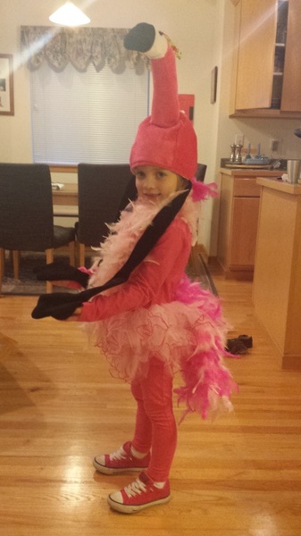 Flamingo Costume